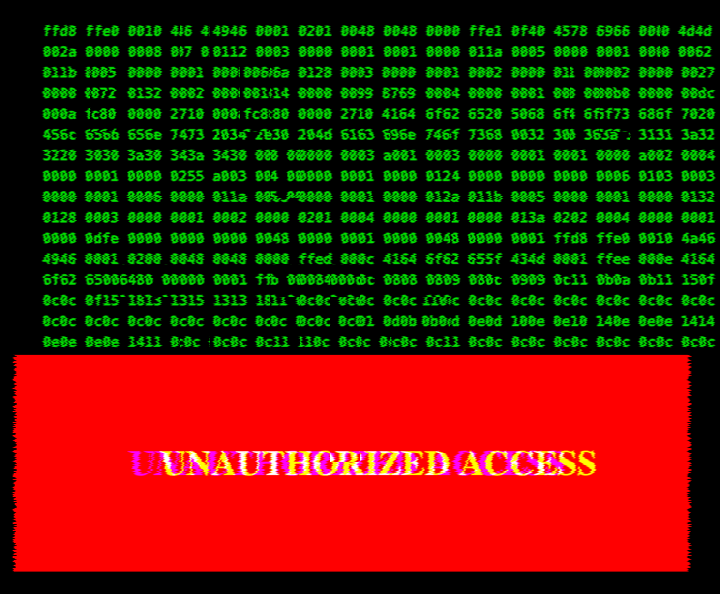 UNAUTHORIZED ACCESS